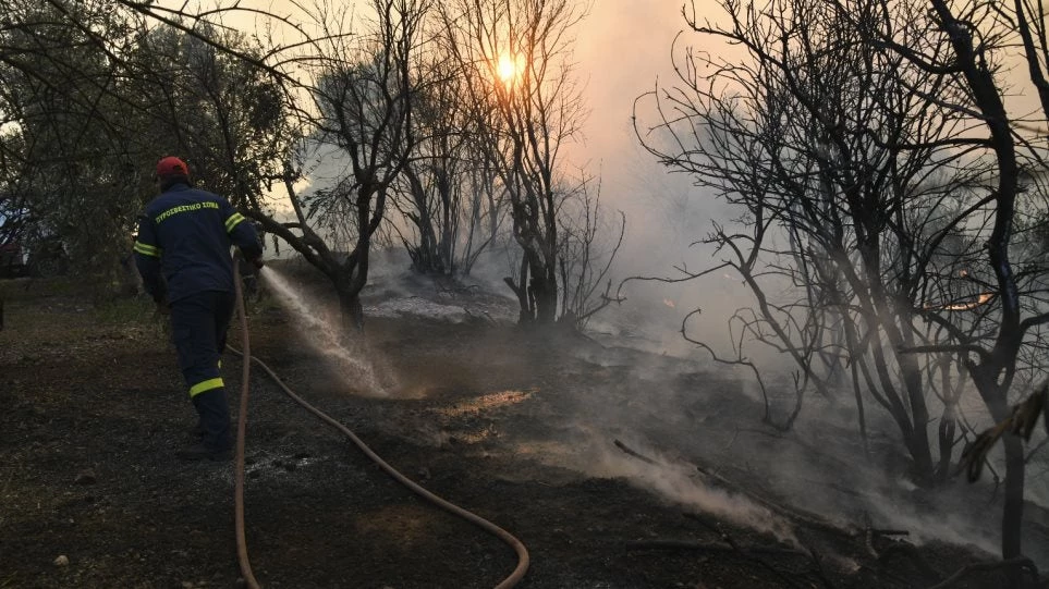 Συναγερμός στην Πυροσβεστική: Πυρκαγιά σε περιοχή της δυτικής Ρόδου – Καίει δασική έκταση